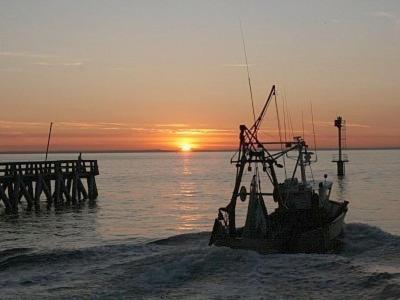 格朗德康迈西F2 Plages Du Debarquement公寓 外观 照片